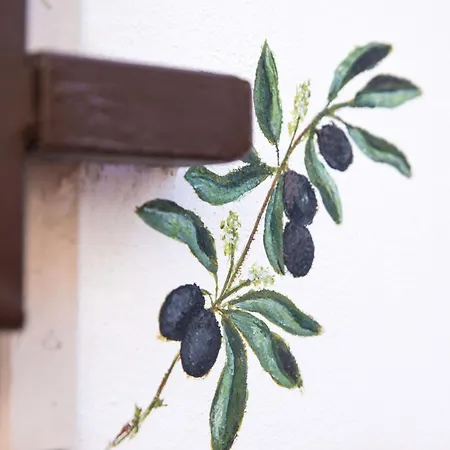 Σπίτι διακοπών L'ulivo - A Due Passi Dal Mare Mola di Bari